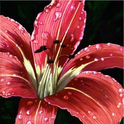 After the Rain - realistic floral painting Day Lily