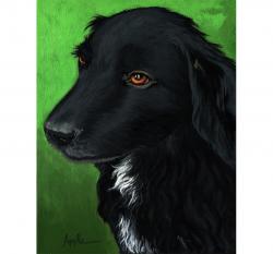 Annie - black dog portrait neighbor dog