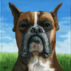 Barry Boxer dog portrait realistic animal painting