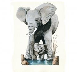 Elephants - Original illustration Save Earth Series 