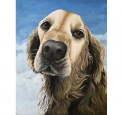 Gracie - Golden Retriever dog portrait
