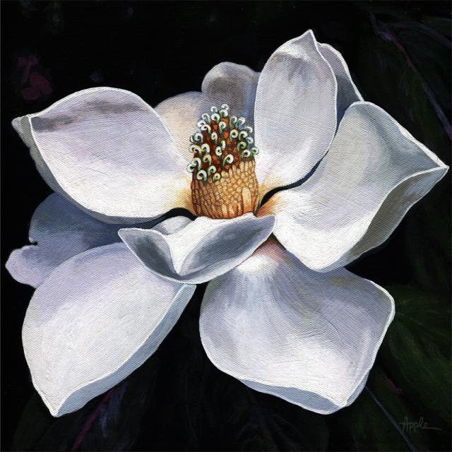 Summer Magnolia - floral painting