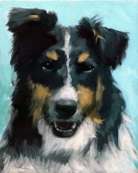 Ozzie dog portrait