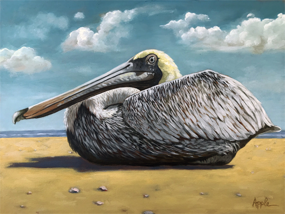 Pelican bird portrait